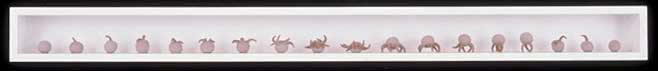 Evolution XI
